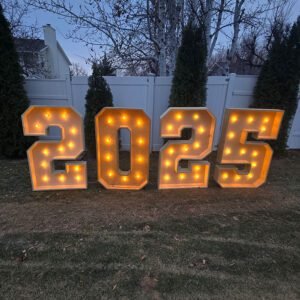 4ft Lighted 2025 Sign
